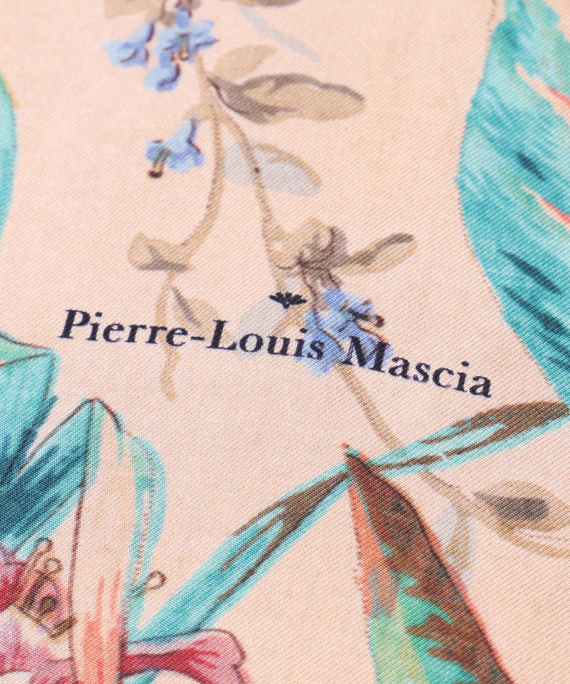 Pierre-Louis Mascia/ピエール＝ルイ・マシア – 1ページ – PIMENTÉ
